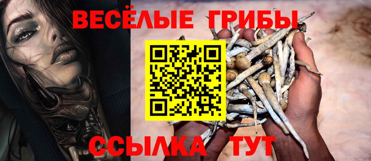 Псилоцибиновые грибы Magic Shrooms  где купить наркотик  Алексин  Вход с VPN 